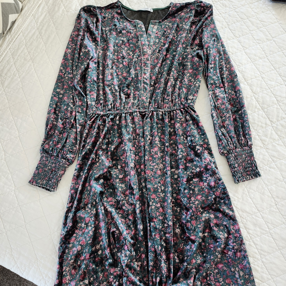 NWOT Velour Floral Long Sleeve Dress, Size S